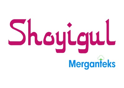 MERGANTEKS LLC